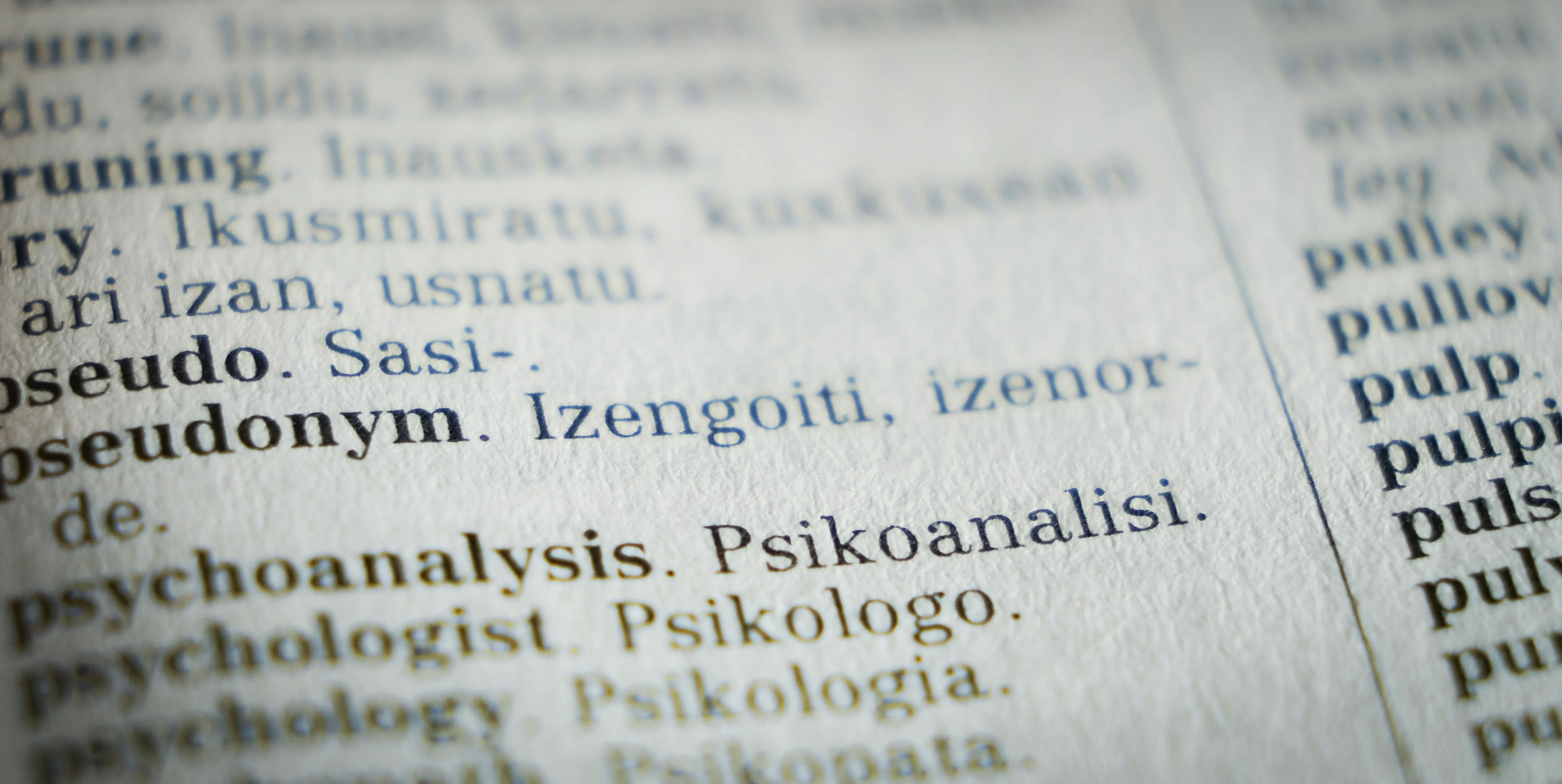 When it comes to SEO in 2024, linguisic nuance is key