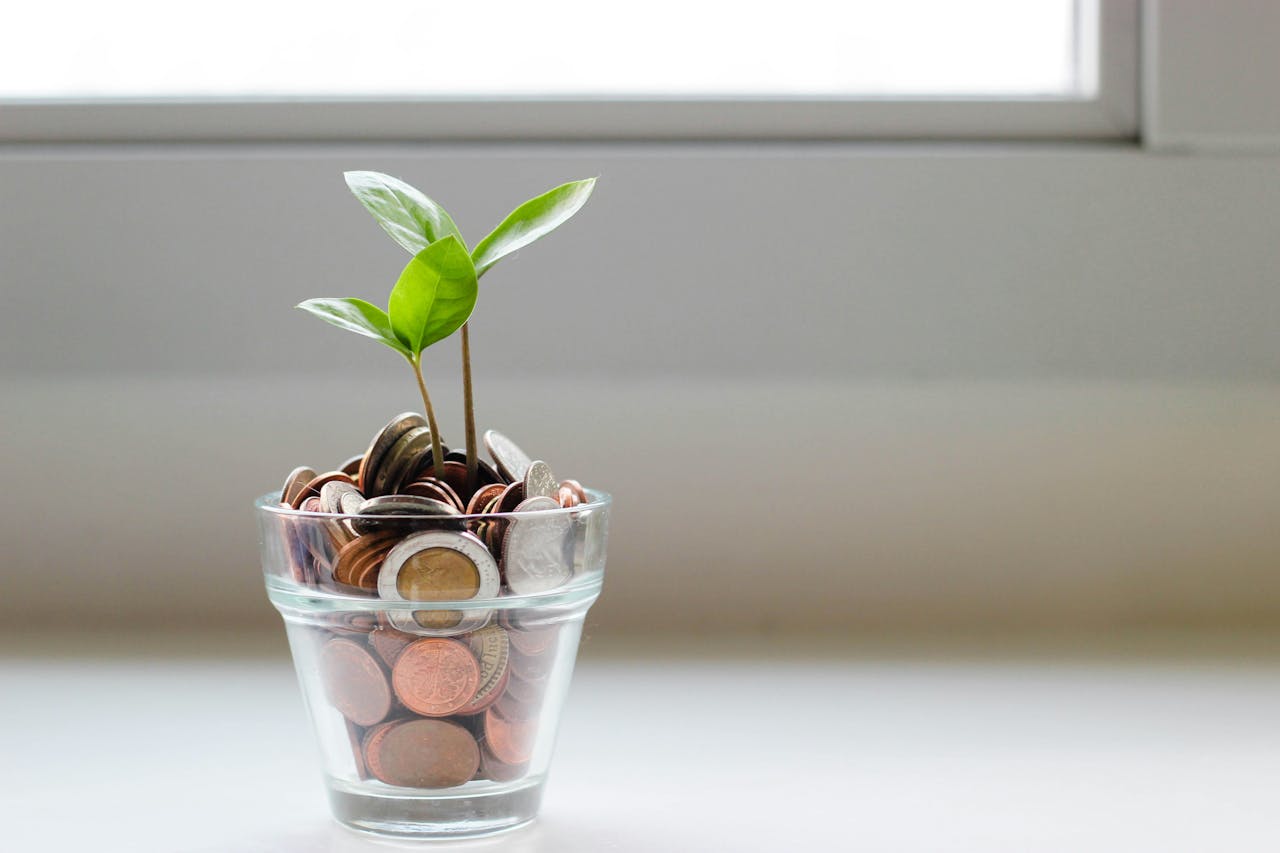 Ad revenues will grow by 6% this year amid period of media 'recalibration'