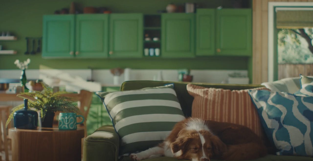 Lily’s Kitchen’s debut TV ad shows pets doing a ‘dinner dance’