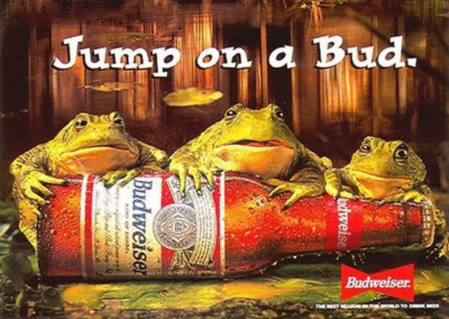 Iconic 90s Budweiser Beer Frogs store Toad Snap Back Hat GUC Grail Marketing Alcohol