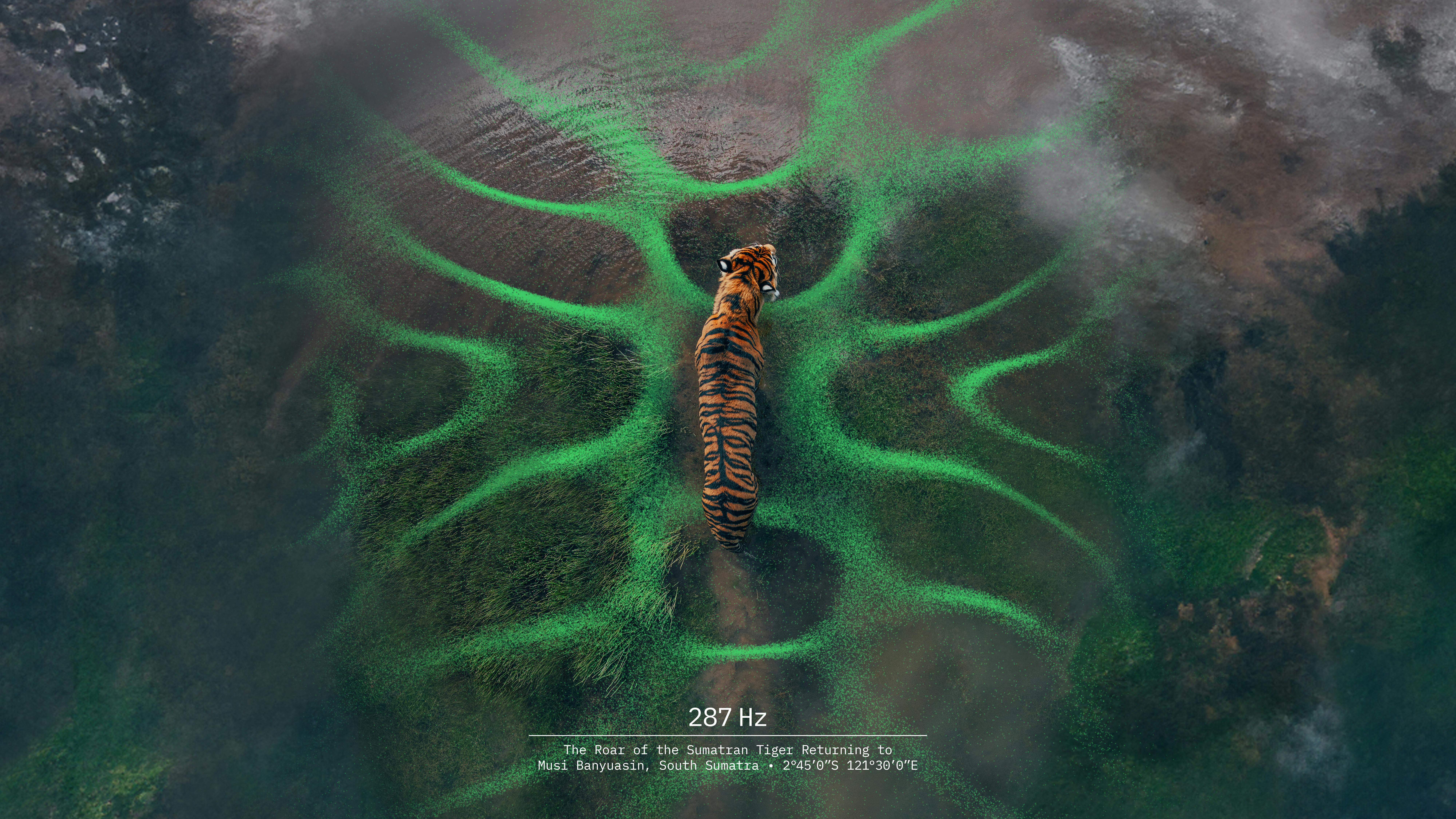 Forest Carbon – In Tune with Nature – The Drum