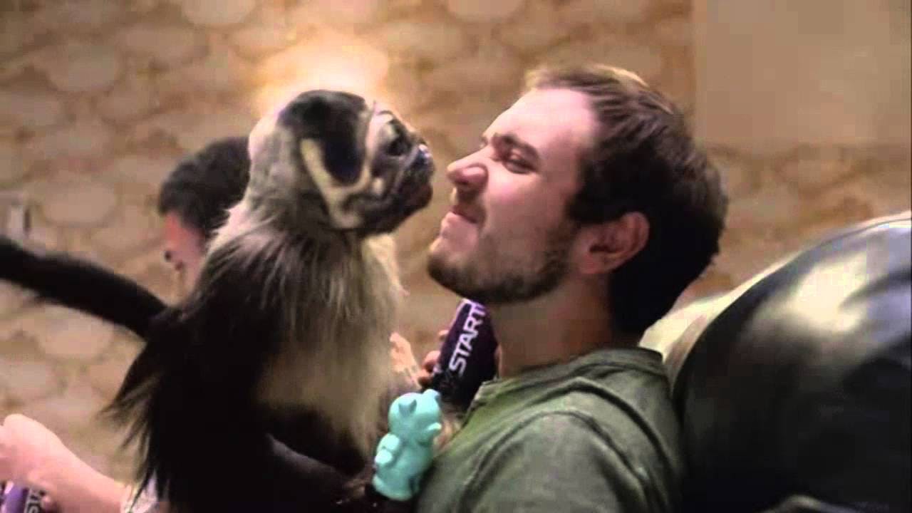Did Super Bowl advertising peak at ‘Puppy Monkey Baby’?