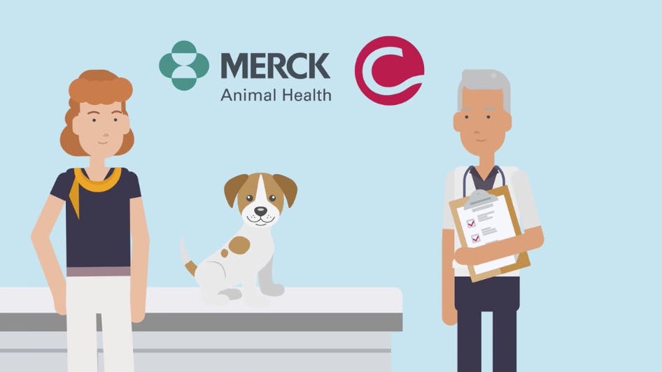 Merck Animal Health Case Study By Creative Digital Agency | Creative ...