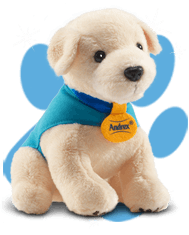 guide dog teddy