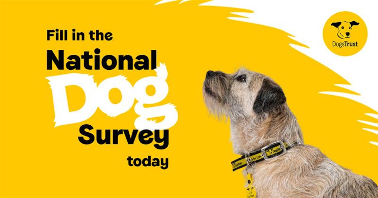 Dogs Trust National Dog Survey By GOOD Agency Creative Works The Drum