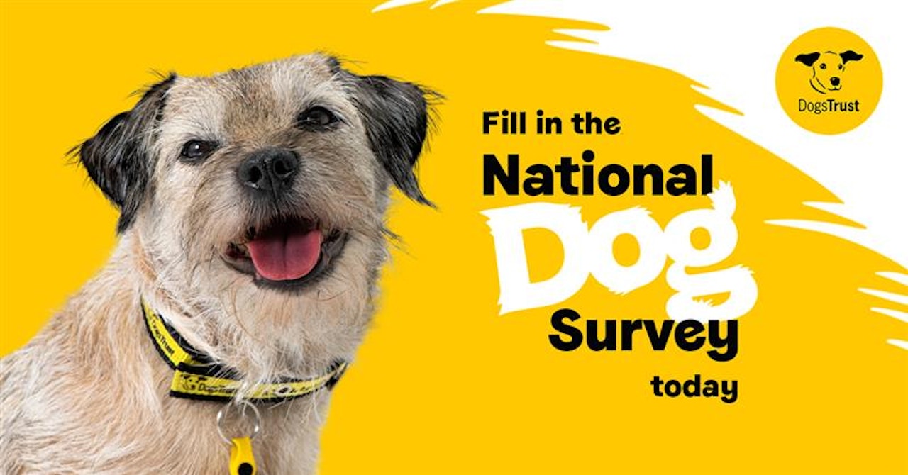Dogs Trust National Dog Survey By GOOD Agency Creative Works The Drum