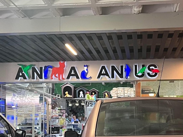 A shop sign that reads 'Animal Anus'