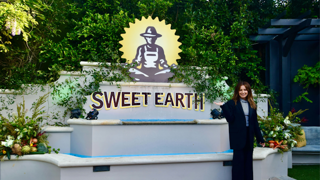 ashley tisdale posing with a sweet earth sign