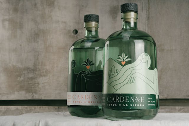 Cardenxe sotol Cardenxe sotol