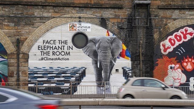 Elephant Elephant