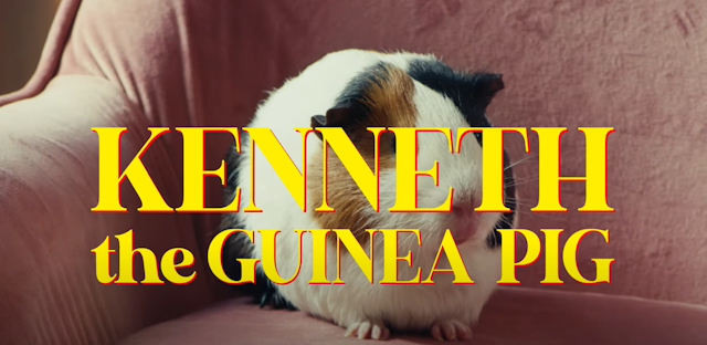 Kenneth the Guinea Pig
