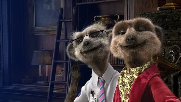 Compare the Market meerkat mascots Compare the Market meerkat mascots