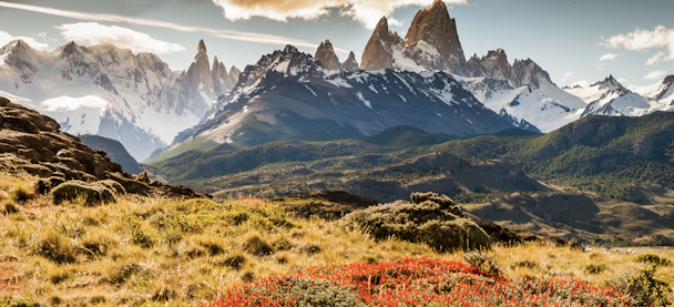 a photo from Patagonia's website
