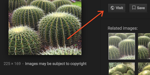 Google has removed the 'View Image' button from search results 