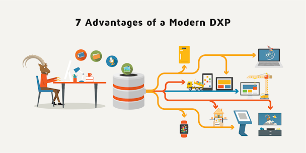 Digital Experience Platforms (DXPs) 