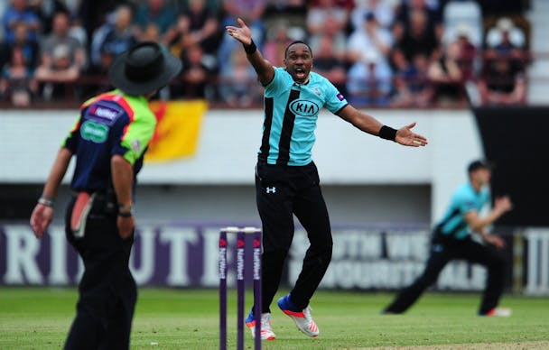 Cricket Cricket