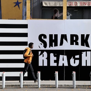 Shark Reach 