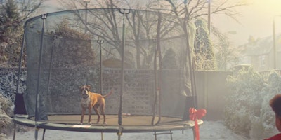 buster the boxer John Lewis Ad
