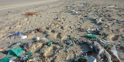 waste on the beach