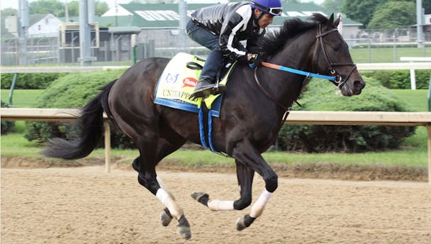 The official betting platform of the Kentucky Derby wants to better use data to create year-round engagement -- and wagers. The official betting platform of the Kentucky Derby wants to better use data to create year-round engagement -- and wagers.