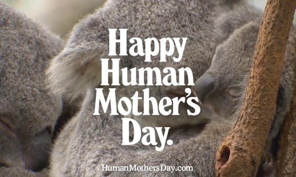 Happy Human Mother's Day Happy Human Mother's Day