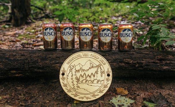 Busch in the Forest Busch in the Forest
