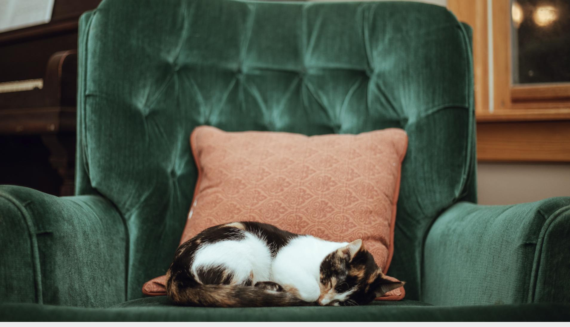 How to win at homebound marketing