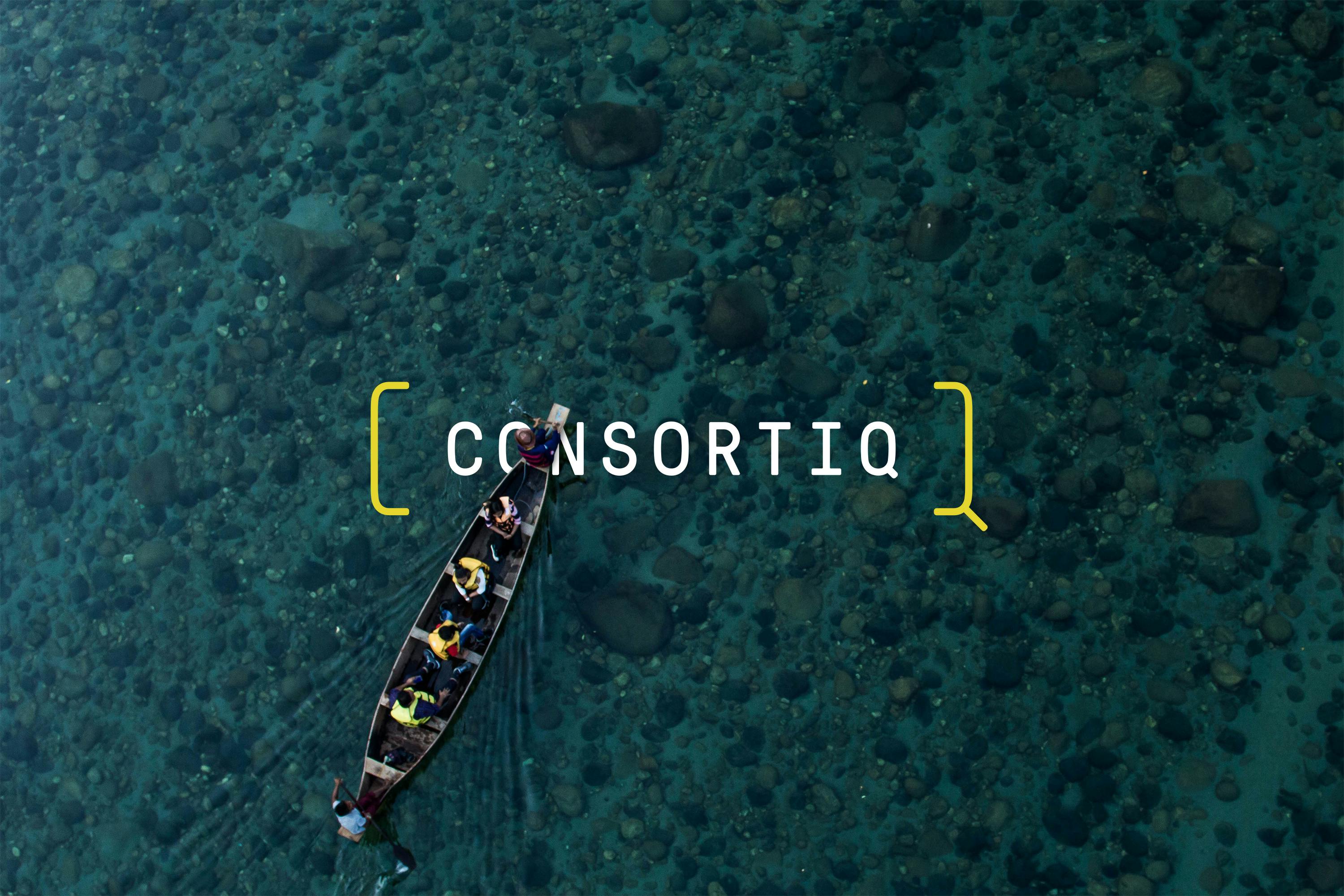 consortiq ltd