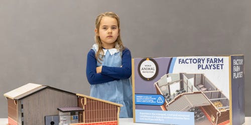 Factory Playset Factory Playset