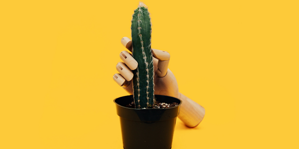 Cactus Contraception
