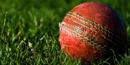 cricket ball in grass