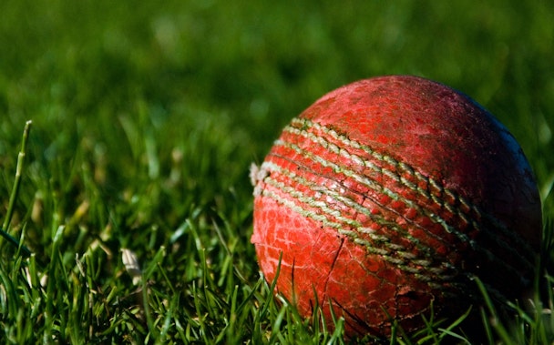 cricket ball in grass