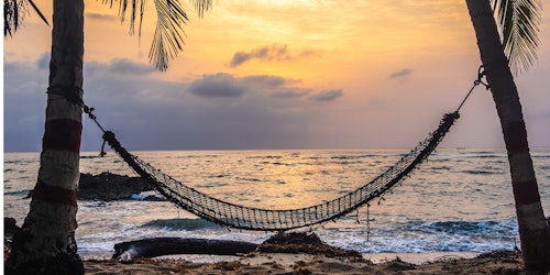 hammock in front of a sunset