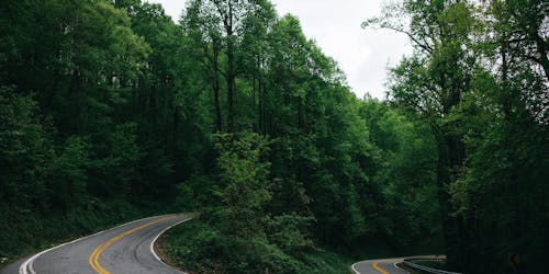 wes hicks unsplash bend in the road wes hicks unsplash bend in the road
