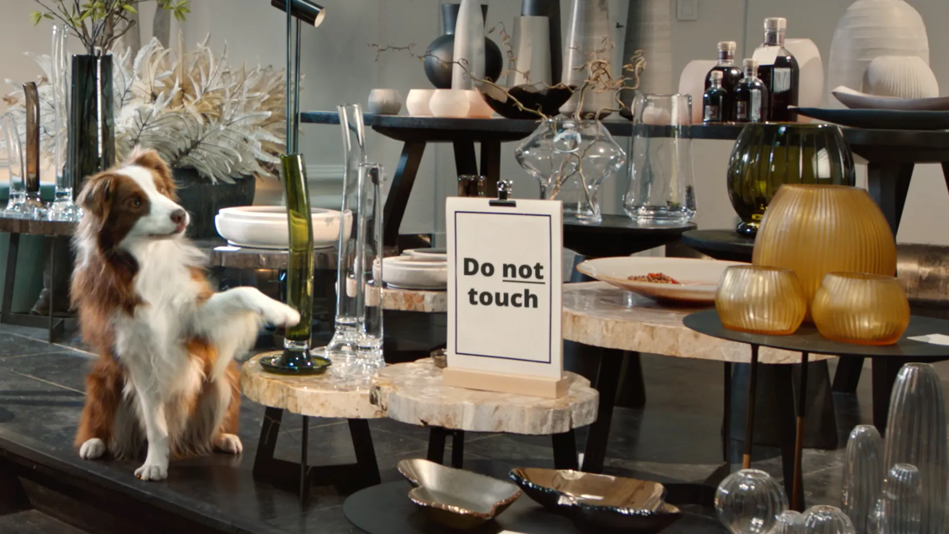 Edgard & Cooper unleashes first UK ad campaign | The Drum