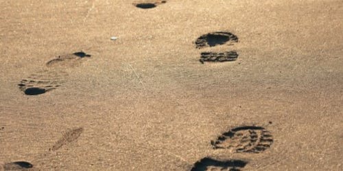 Capgemini Invent look at the future of smart marketing amid a period of changes to privacy regulations. Capgemini Invent look at the future of smart marketing amid a period of changes to privacy regulations.