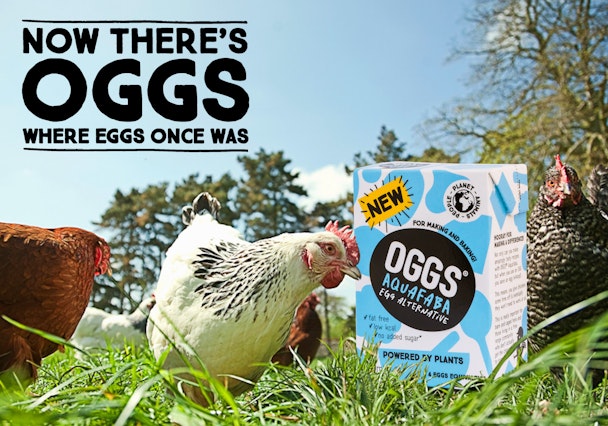 If agency land all-plant egg alternative OGGS Aquafaba account following competitive pitch.