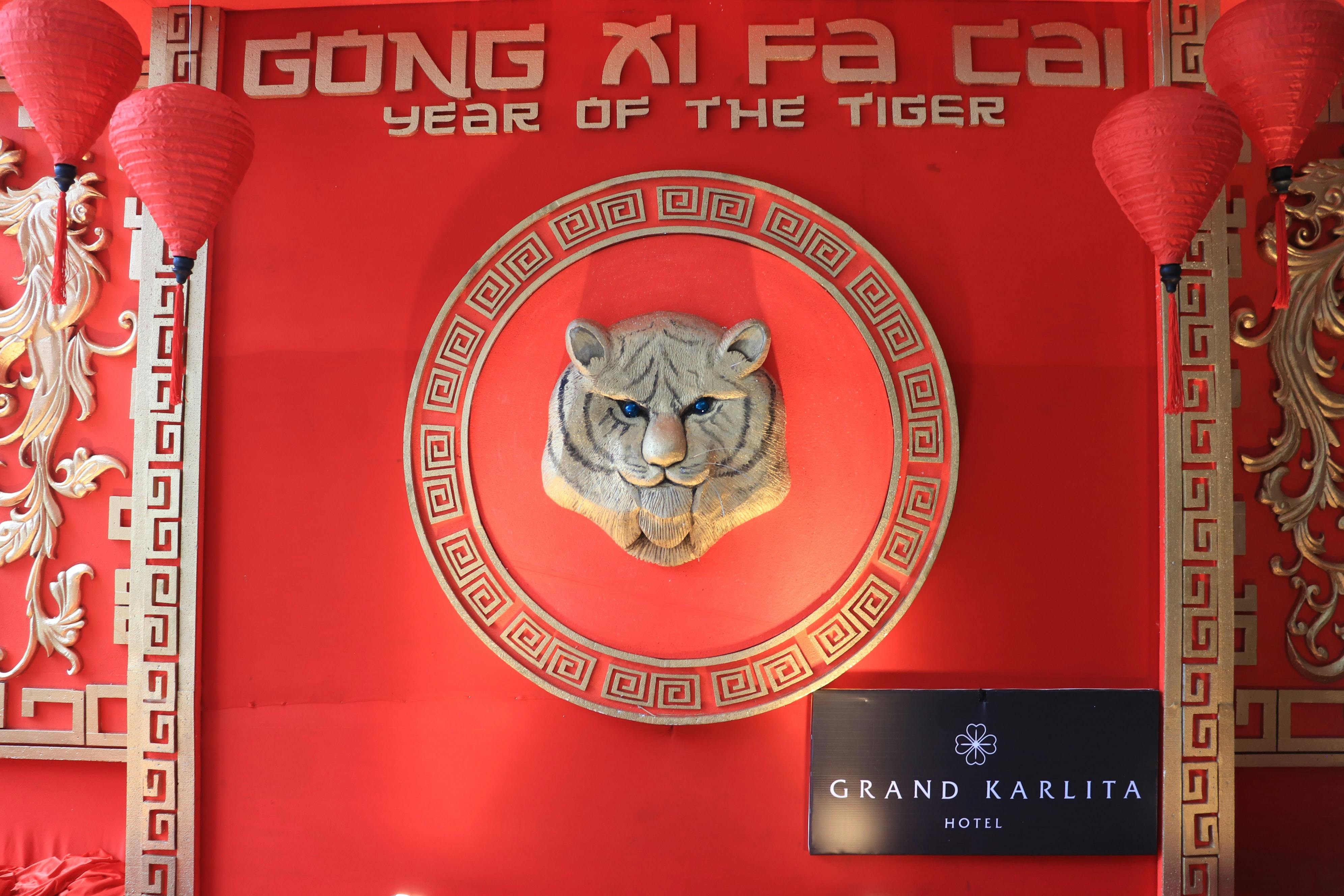 How to be more tiger