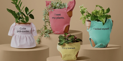 Plant Pot