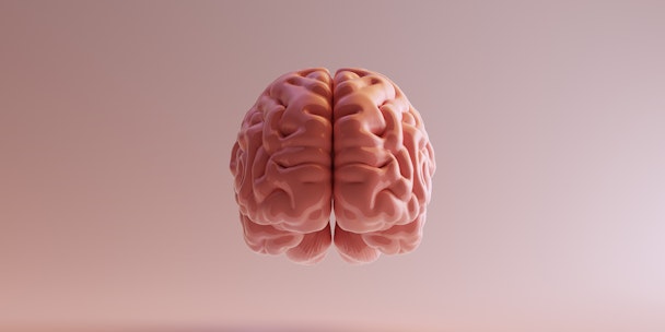 big pink brain