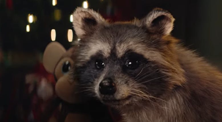 Lidl's Christmas spot stars a curious raccoon to promote its toy bank