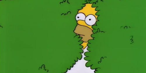 Homer gif Homer gif