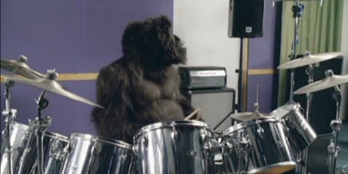 Cadbury Gorilla Cadbury Gorilla