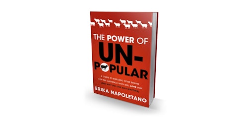 This week's book is The Power of Unpopular by Erika Napoletano