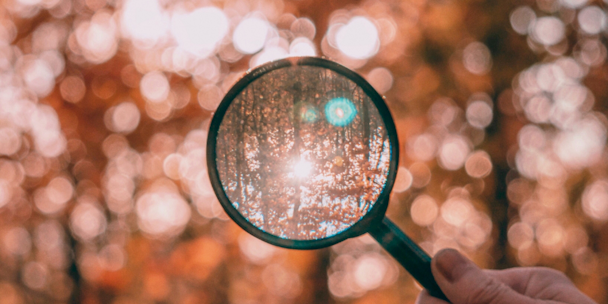 Photograph of a black and green magnifying glass in autumnal woods