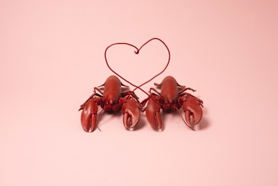TSB relationship project - love lobster