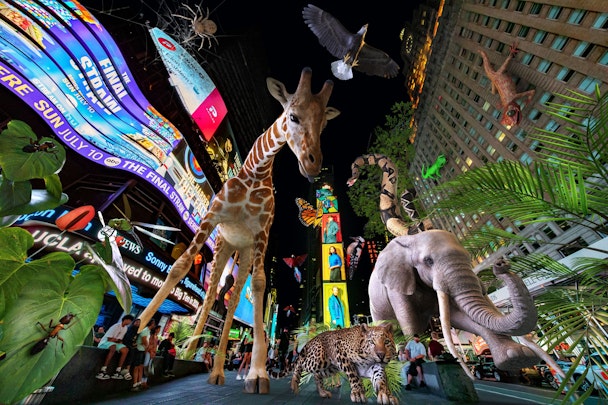 Concrete Jungle experience in Times Square