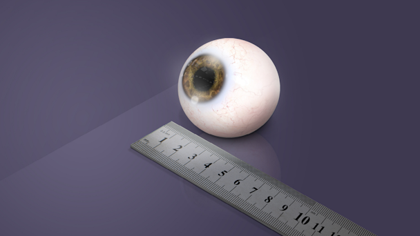Eyeball next to ruler