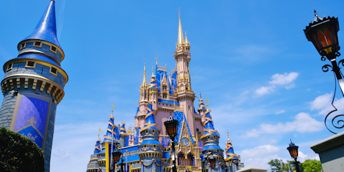 Disney World Florida castle