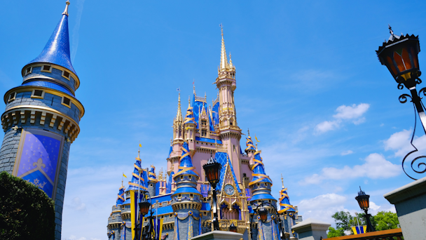 Disney World Florida castle